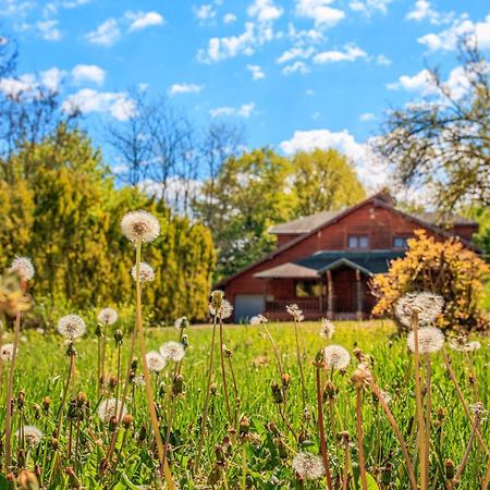 Amigosranch Villa Krusevac Ngoại thất bức ảnh