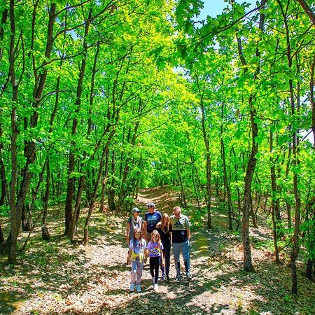 Amigosranch Villa Krusevac Ngoại thất bức ảnh