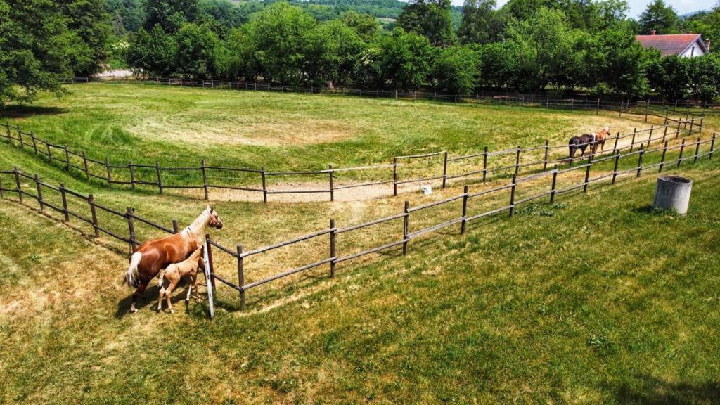 Amigosranch Villa Krusevac Ngoại thất bức ảnh